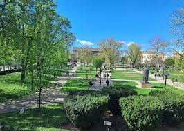 Zvezdara - Service Area